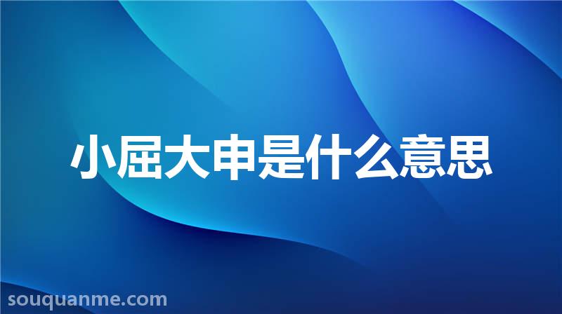 小屈大申是什么意思 小屈大申的拼音 小屈大申的成语解释